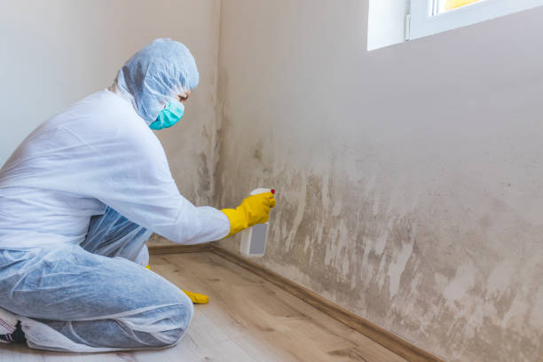Licensed Mold Testing service in South Boston, VA - WQB Mold Removal