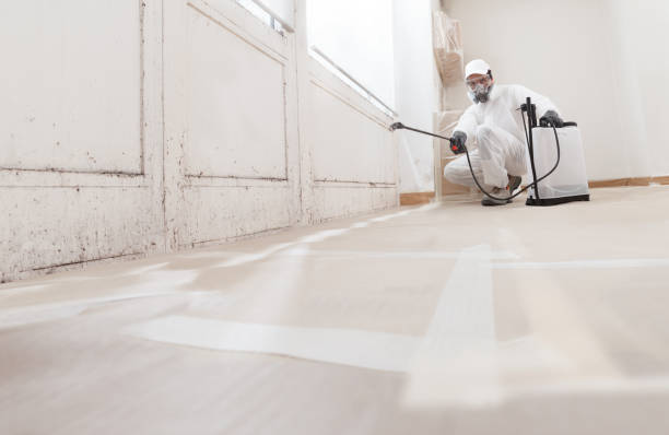 24/7 Emergency Mold Testing experts in South Boston, VA