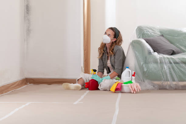 Trusted Mold Testing service in South Boston, VA - WQB Mold Removal