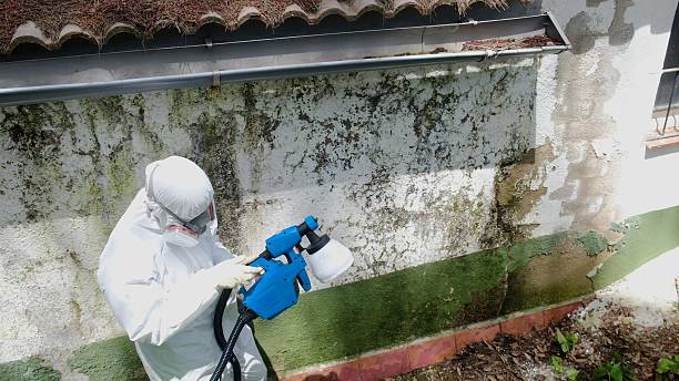 Top rated local Mold Testing specialists in South Boston, VA